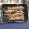 Immagine 0 di Cruditè di Scampi di Mazara del Vallo