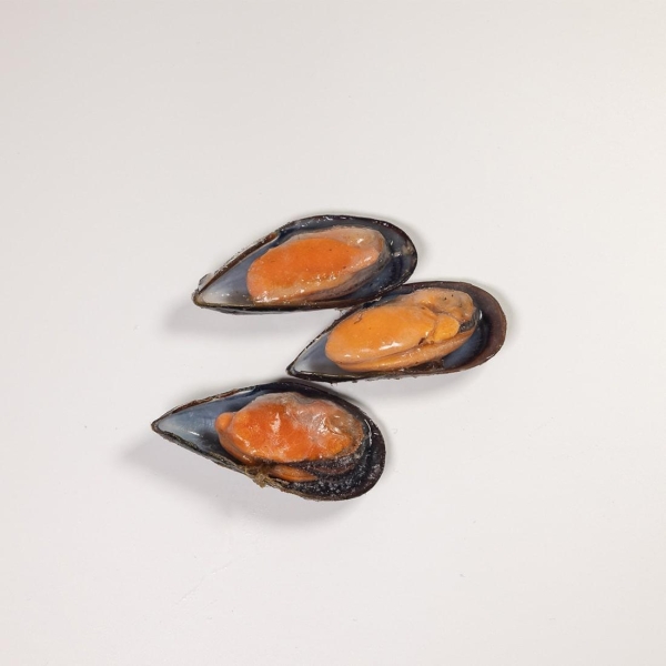 Cozze mezzoguscio