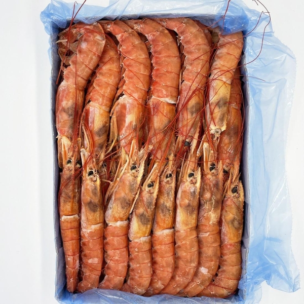 Gambero argentino