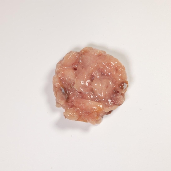 Tartare di Ricciola